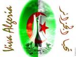 salut les amis